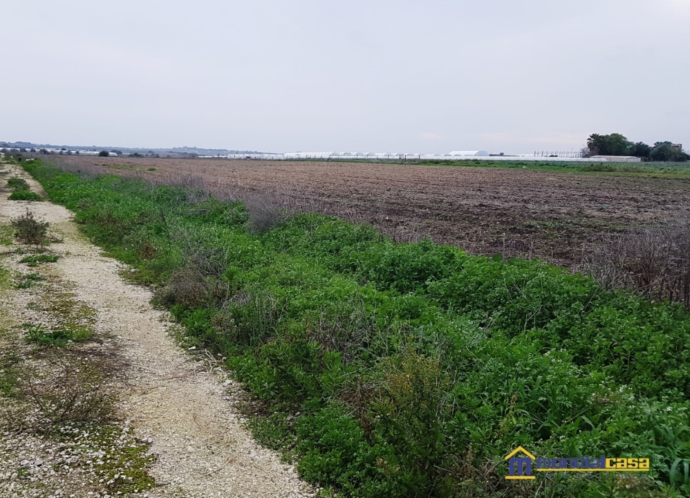 Terreno Agricolo in Vendita Pachino