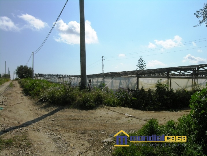 Vendita Terreno Agricolo Pachino