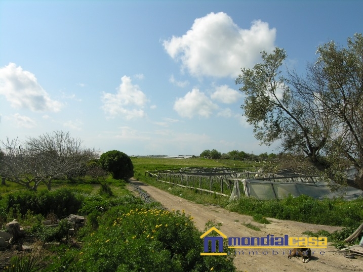 Vendita Terreno Agricolo Pachino