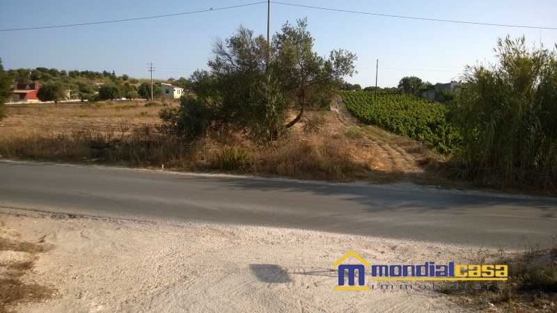 Terreno Agricolo in Vendita Pachino