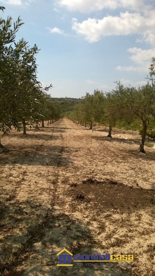 Villa Unifamiliare - Indipendente NOTO vendita  Noto  Mondialcasa Immobiliare srl