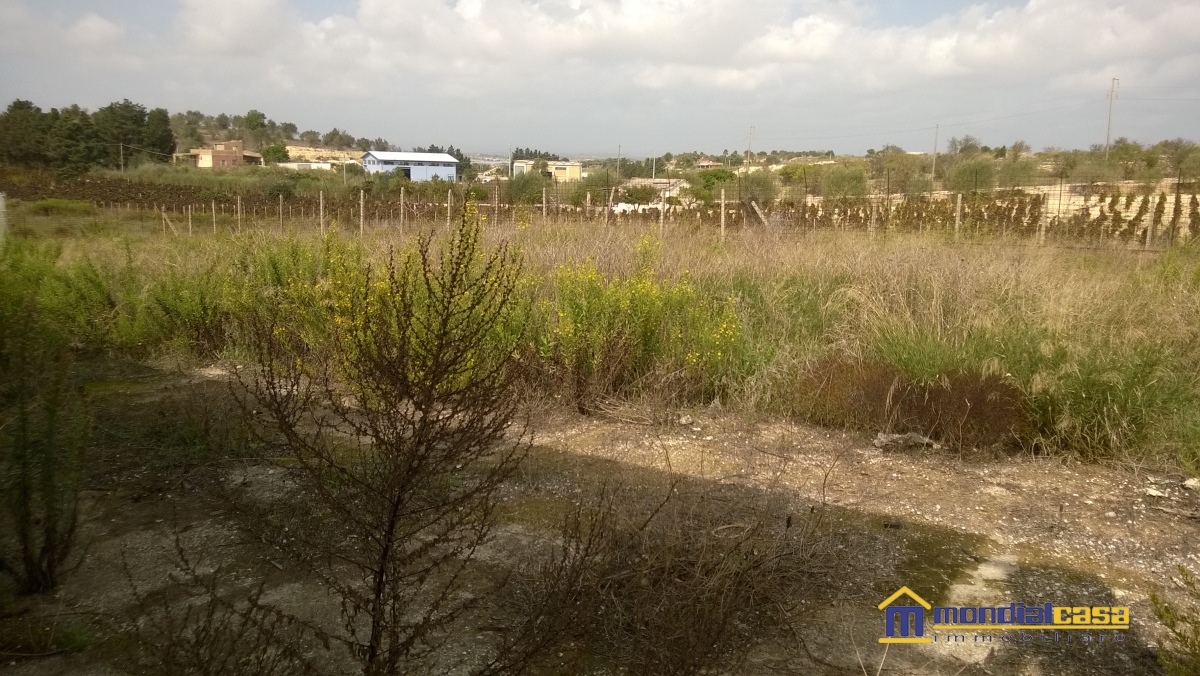 Villa Unifamiliare - Indipendente PACHINO vendita  Pachino  Mondialcasa Immobiliare srl