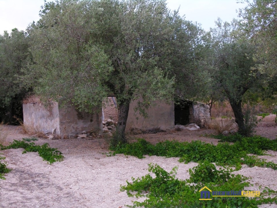 Terreno Agricolo in Vendita Noto