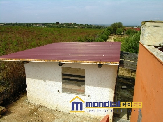 Stabile intero - Palazzo PACHINO vendita  Pachino  Mondialcasa Immobiliare srl