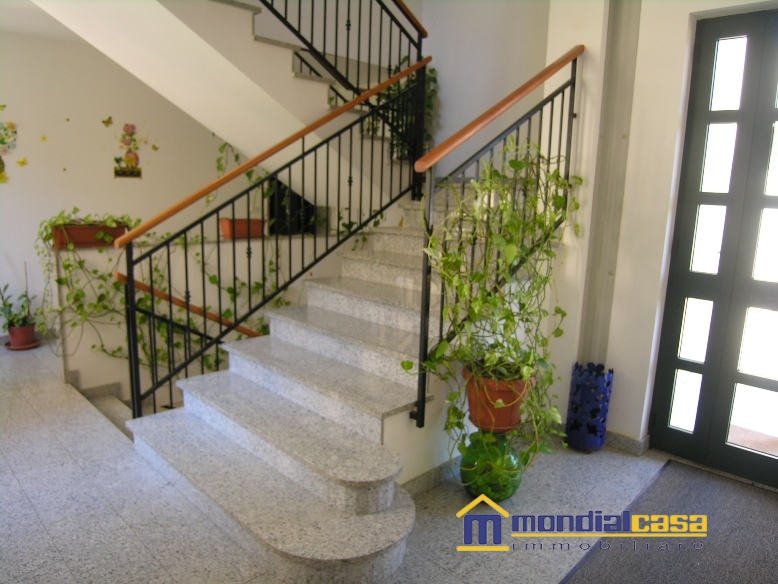Appartamento PACHINO vendita  Pachino  Mondialcasa Immobiliare srl