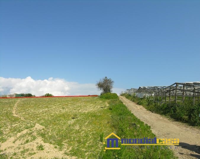 Vendita Terreno Agricolo Pachino