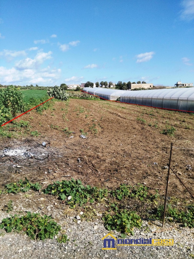 Terreno Agricolo in Vendita Pachino