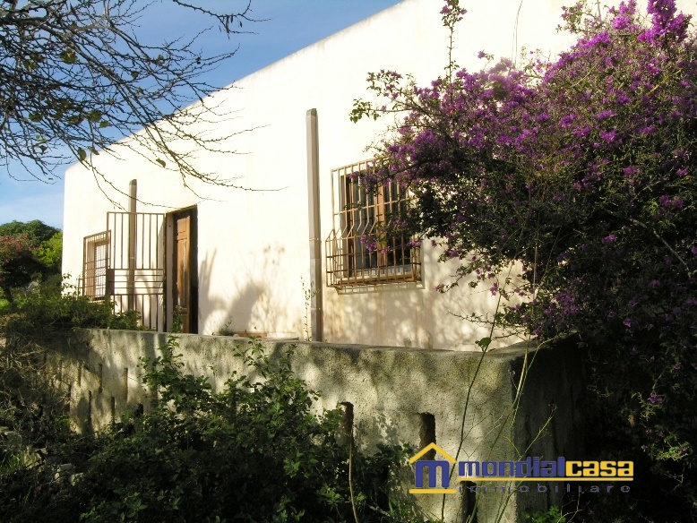  pachino vendita quart: pachino mondialcasa immobiliare srl
