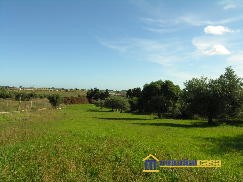 Villa PACHINO vendita  Pachino  Mondialcasa Immobiliare srl