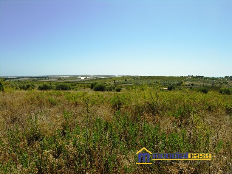 Terreno Agricolo in Vendita Noto