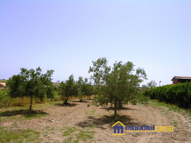 Vendita Terreno Agricolo Noto