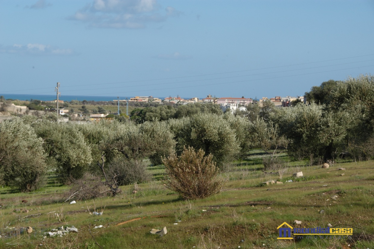 Terreno Agricolo in Vendita Pachino