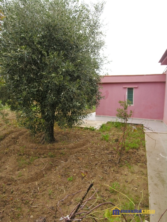 Villa Unifamiliare - Indipendente NOTO vendita  Noto  Mondialcasa Immobiliare srl