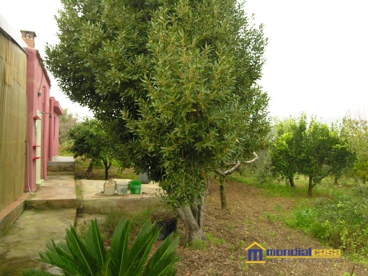 casa indipendente in vendita a Noto