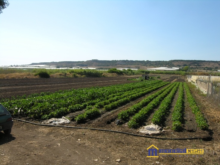 Terreno Agricolo in Vendita Pachino