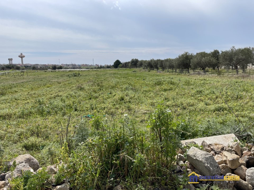 Terreno Agricolo in Vendita Pachino