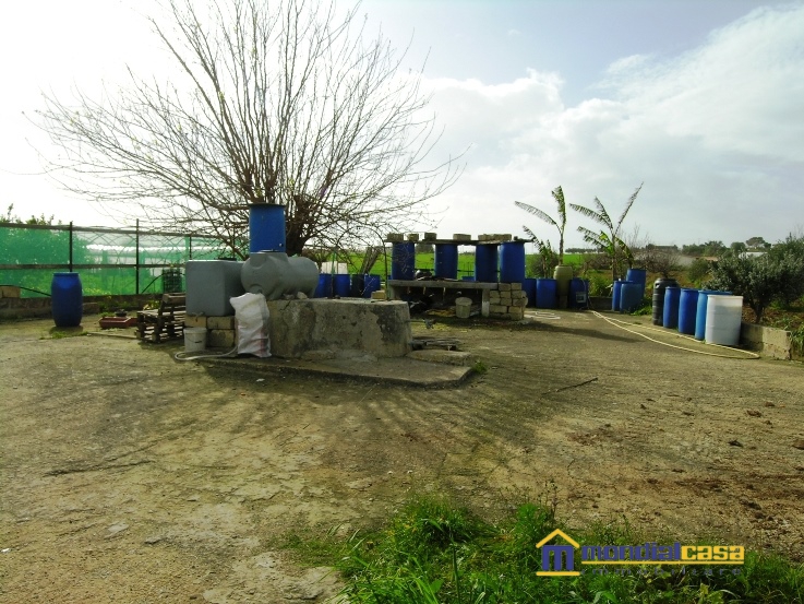 Vendita Terreno Agricolo Pachino