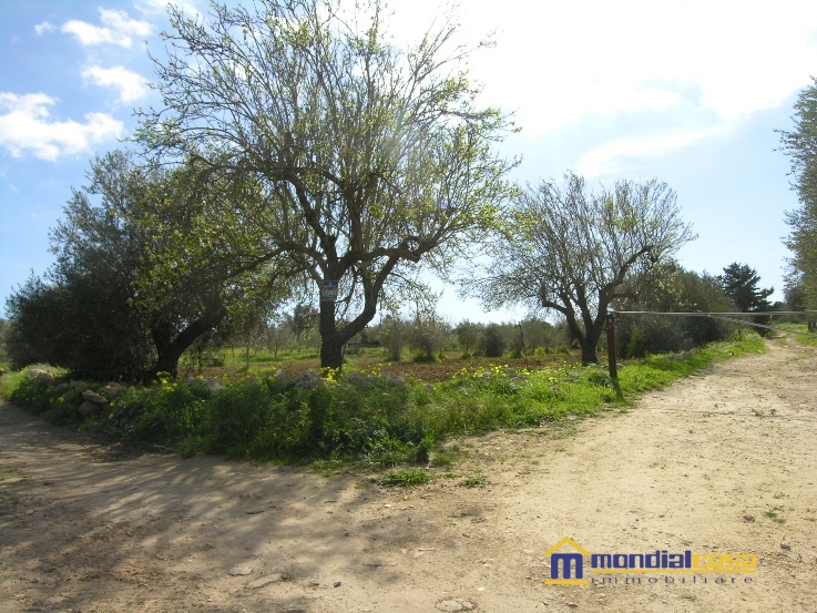 Terreno Agricolo in Vendita Pachino