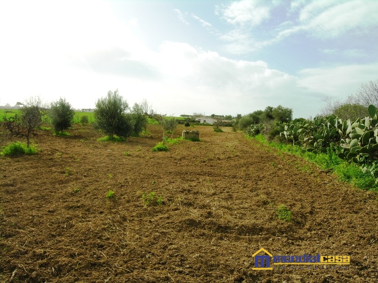 Vendita Terreno Agricolo Pachino