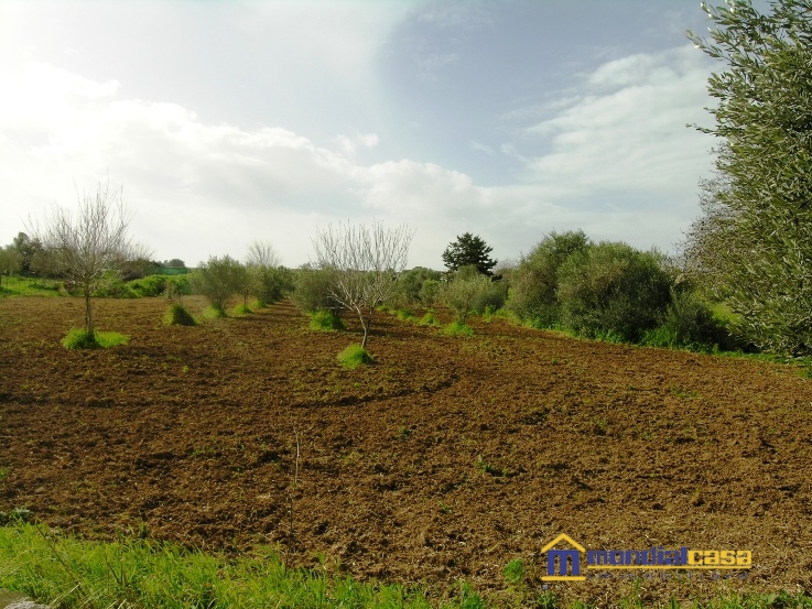 Vendita Terreno Agricolo Pachino